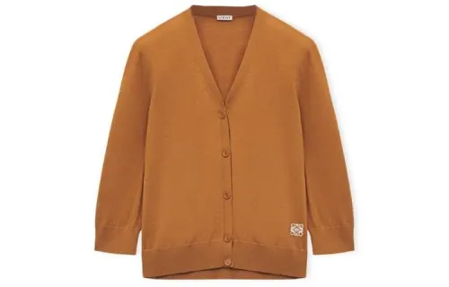 LOEWE Knitwear Women's Brown V Neck Moderate Other
