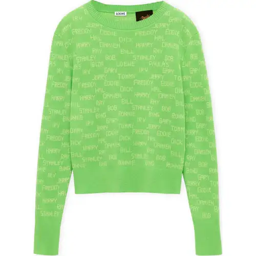 LOEWE FW24 Knitwear Women's Green
