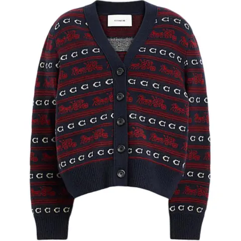 COACH FW24 Sweater Women's Blue Red
