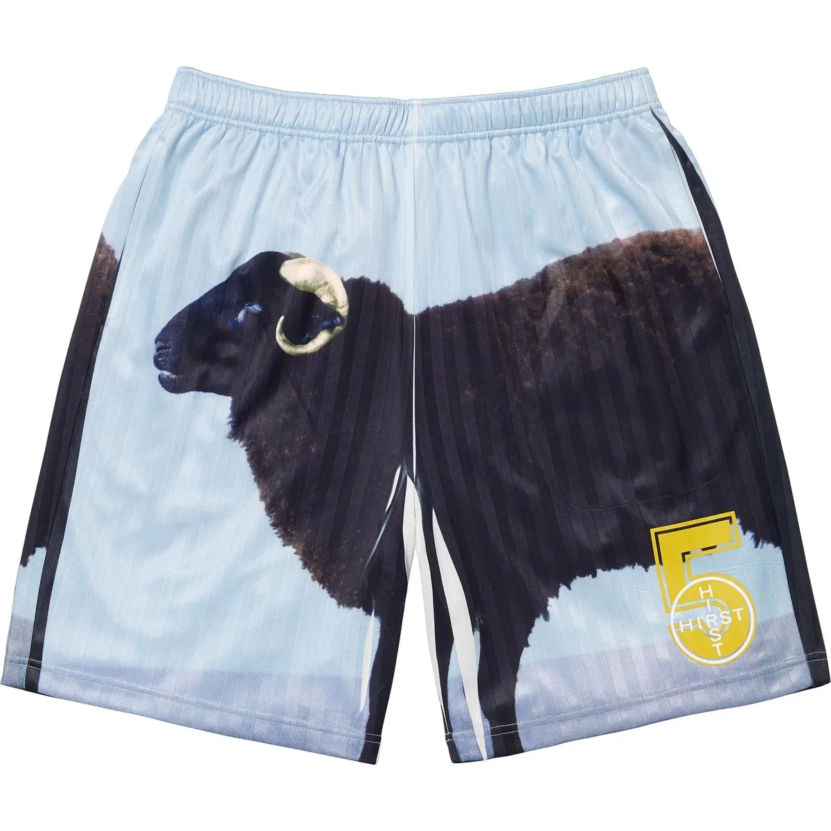 Supreme X Damien Hirst Soccer Short