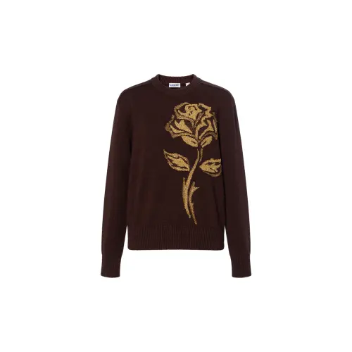 Burberry Knitwear Women's Honey