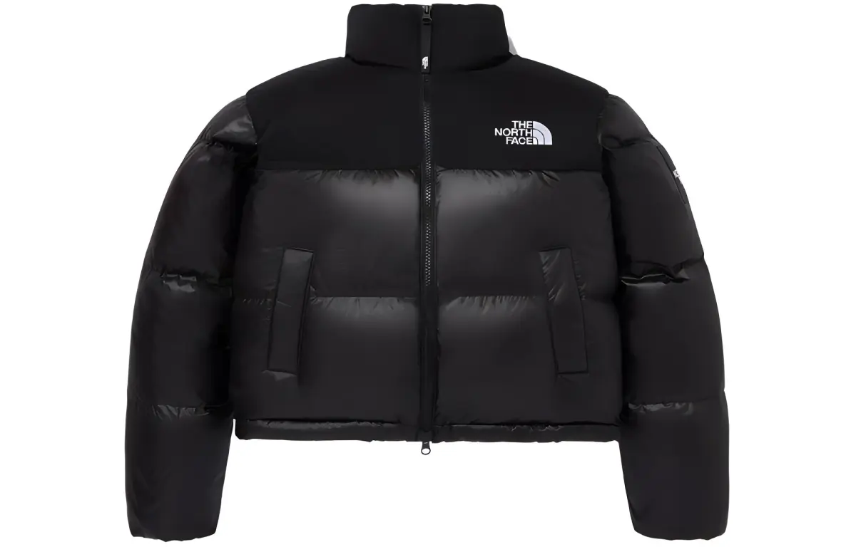 THE NORTH FACE Women's Novelty Nuptse Rds Down Jacket Real Black