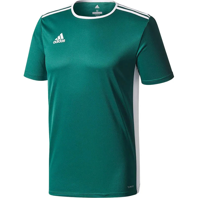 Adidas Soccer Jerseys Men's Green Moderate