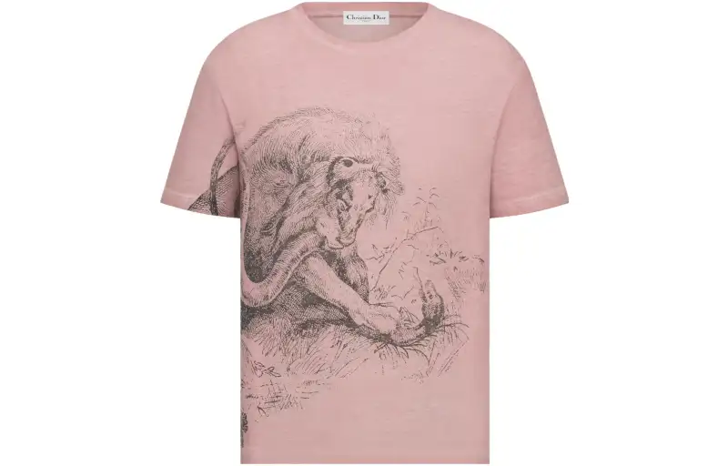 DIOR T Shirts Women's Pink Crew Neck Moderate Straight Fit