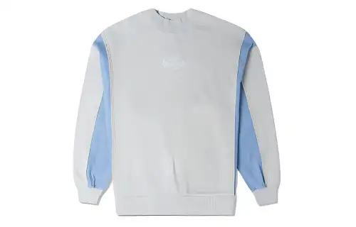 Converse Sweatshirts Women's Light Blue Crew Neck Moderate Regular