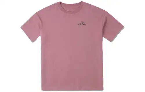 Converse T Shirts Women's Earth Tone Crew Neck Moderate Straight Fit