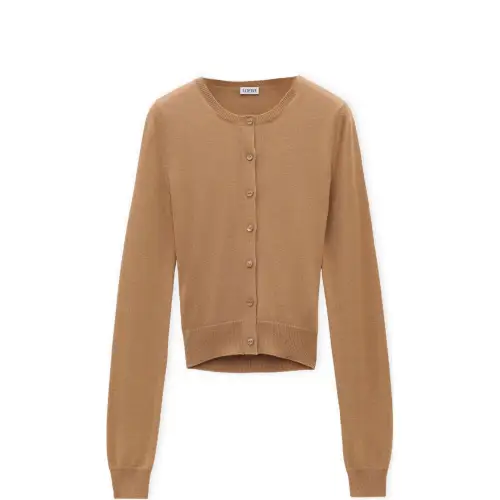LOEWE FW24 Knitwear Women's Brown