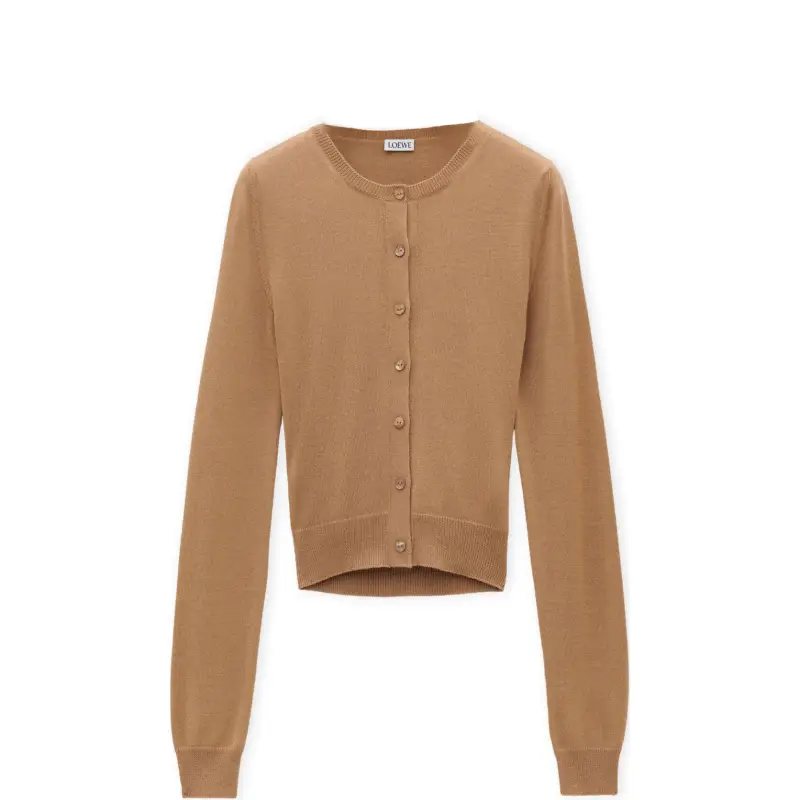 LOEWE FW24 Knitwear Women's Brown