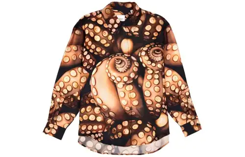 Burberry Shirts Women's Multicolor Lapel Moderate Other