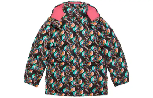 GUCCI X The North Face Down Jacket Multicolor/Black