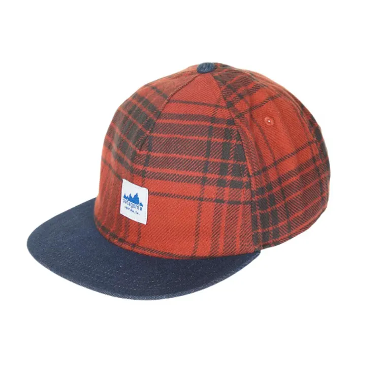 Patagonia Range Plaid pattern Denim peak Cap