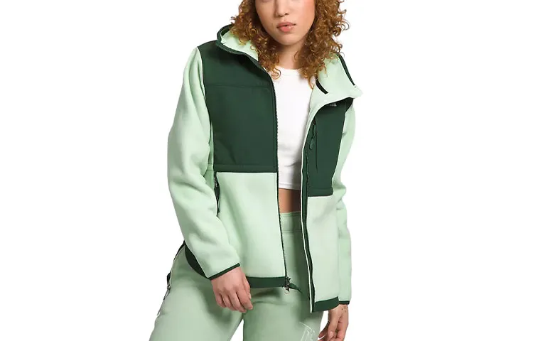 THE NORTH FACE Jackets & Coats Women's Mist Sage