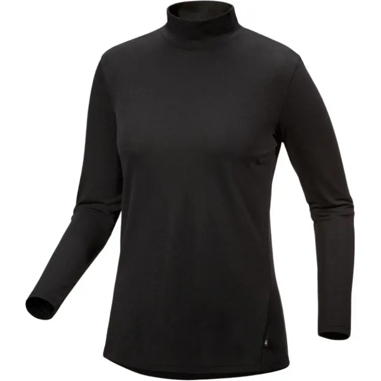 Arcteryx LUMIN T-Shirts Women's Half-Turtleneck Moderate Other