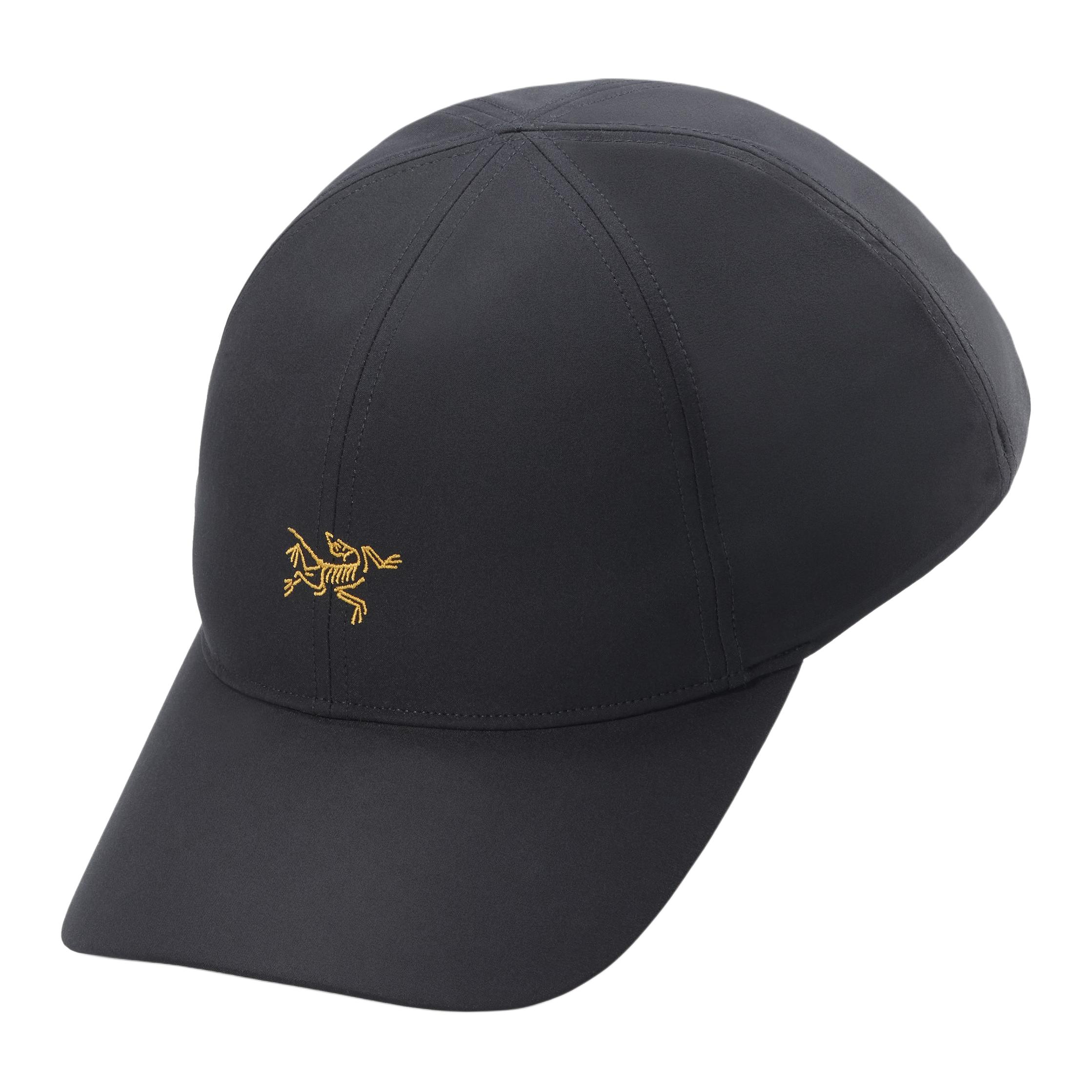 Кепка Arcteryx Arcteryx (черная)