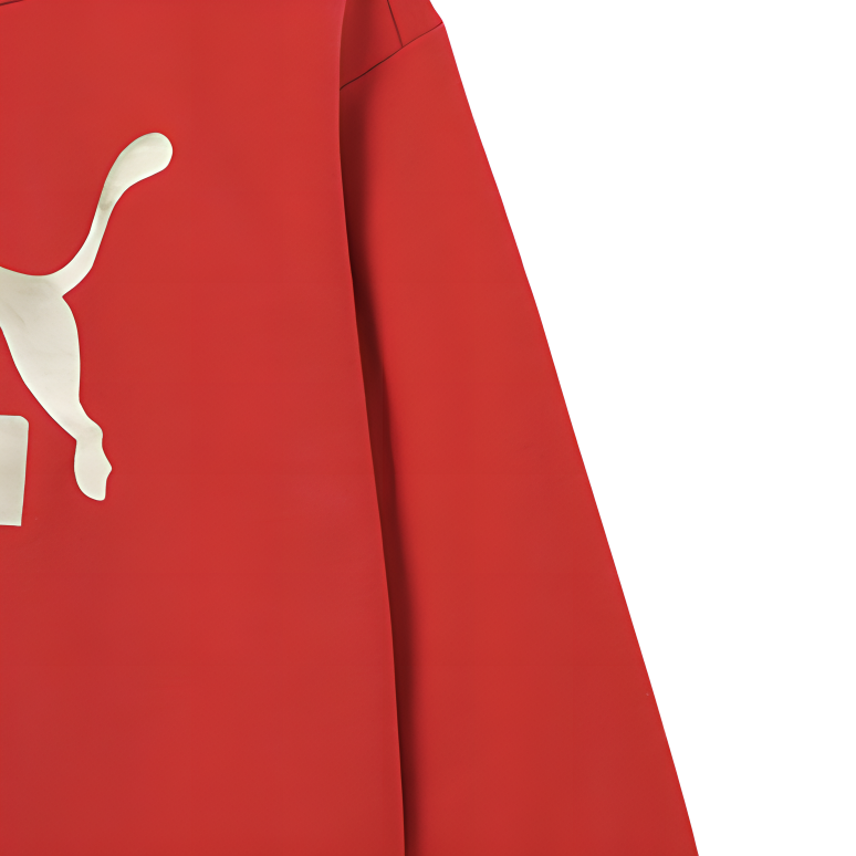 Детское худи PUMA SportstyleCLASSICS BIG LOGO CREW FL (красный) — фото 3