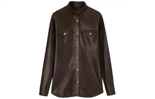 Loro Piana Shirts Women's Brown Lapel Moderate Shirt