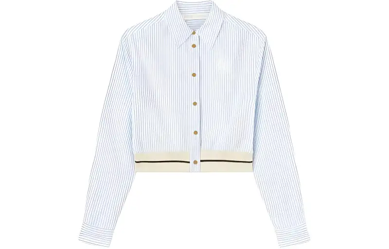 PALM ANGELS Palms Stripes Crop Shirt Blue