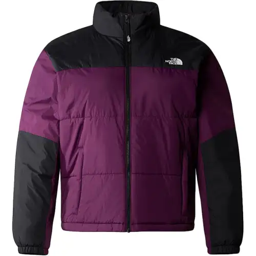THE NORTH FACE Jackets & Coats Women's Purple
