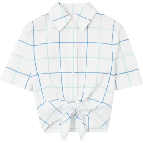 Burberry Check Printed Buttoned Cropped Shirt