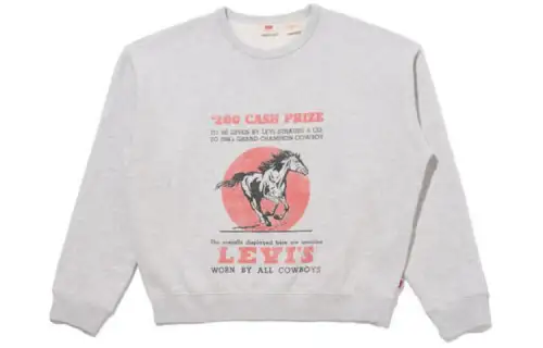 Levis Sweatshirts Women's Gray Crew Neck Moderate Other