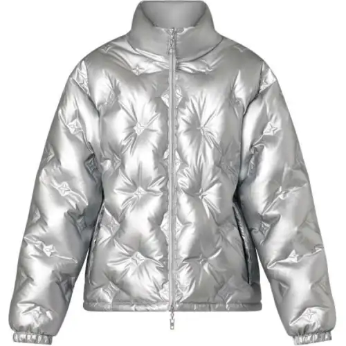 LOUIS VUITTON Down Jacket Women's Silver