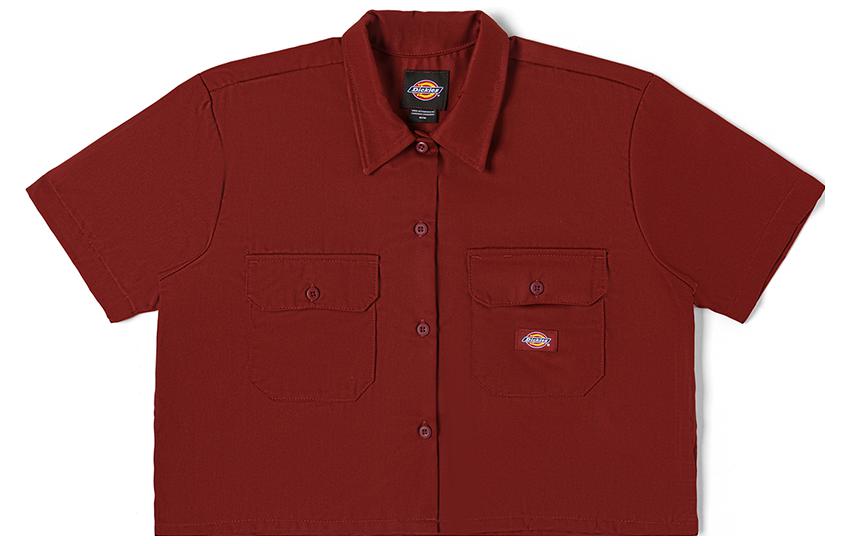 Женская рубашка Dickies FW23 (разноцветная) — фото 8