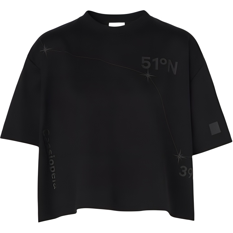 Женская футболка Burberry Constellation Tee (черная)