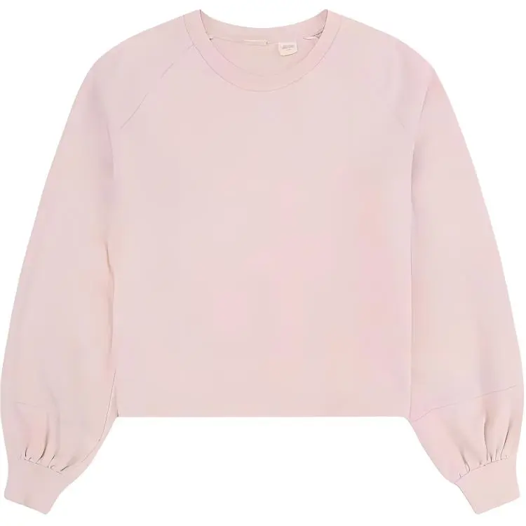 Levi's Sweatshirts Women's Pink Crew Neck Moderate Regular