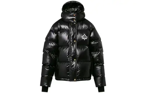 LOUIS VUITTON Glossy Nylon Puffer Jacket