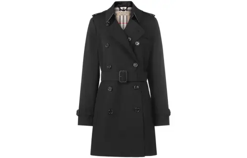 Burberry Pre Owned 2000s Double breasted Coat
