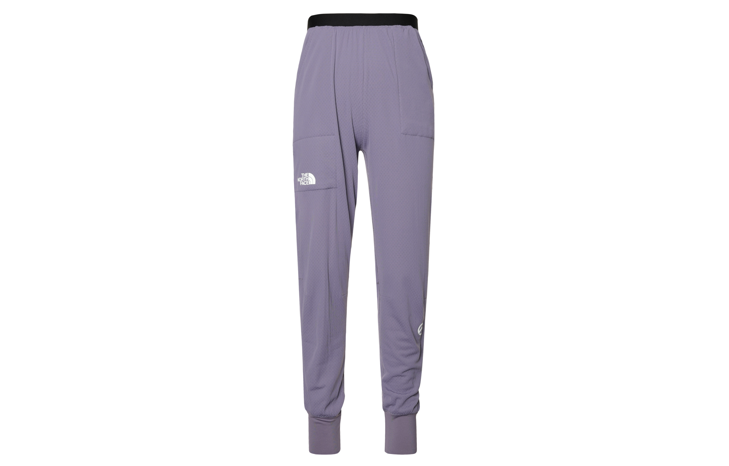 Женские штаны The North Face THE NORTH FACE Logo (пурпурный)