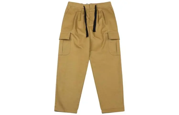 Dickies Casual Pants Women's Tea Brown