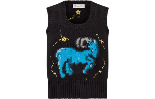 Christian DIOR Pre Owned Capricorn Zodiac Knitted Top