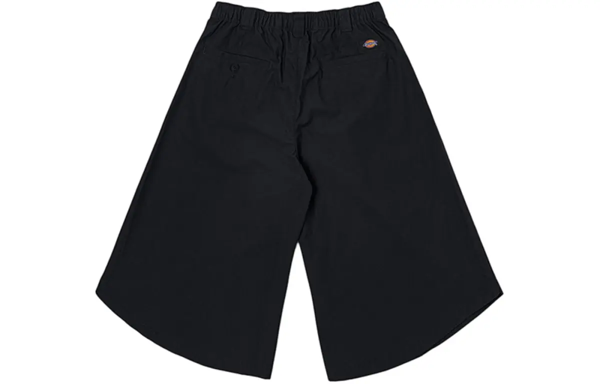 Dickies Casual Pants Women's Moderate Other