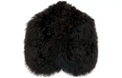 LOEWE Cloaks Women's Dark Brown