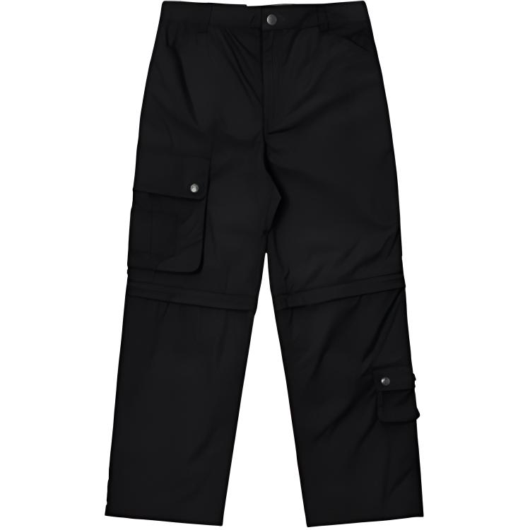 Штаны Dickies Dickies SS22 (черный)