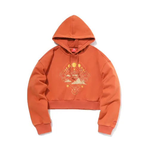 Li Ning Sports Fashion Collection Sweatshirts Women's Caramel Hooded Moderate Regular