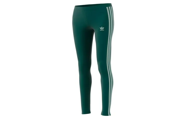 Adidas Originals Knitted Sweatpants Women's Green Moderate Slim Fit Pants