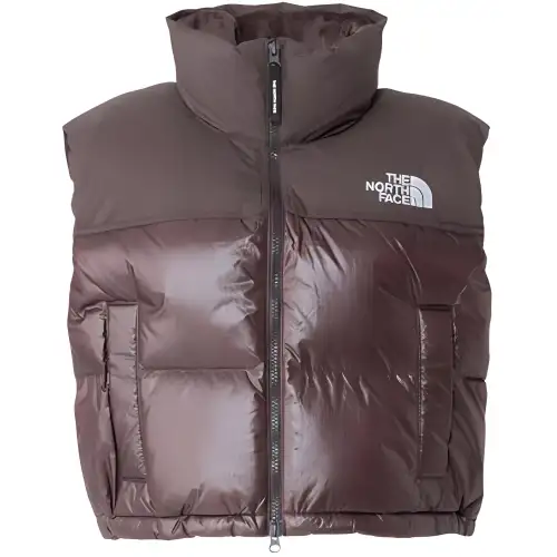 THE NORTH FACE Nupsi FW24 Vest Women's Brown