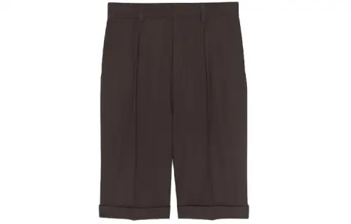 SAINT LAURENT FW21 Casual Shorts Women's Brown