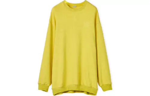 LOEWE Long Sleeved Dresses Women's Yellow Crew Neck Moderate