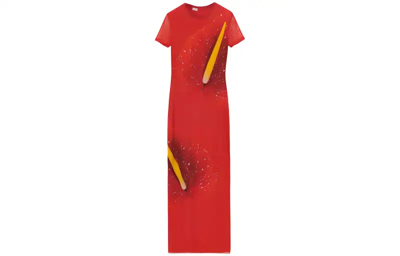 LOEWE Short Sleeved Dresses Women's Red Crew Neck Moderate Long