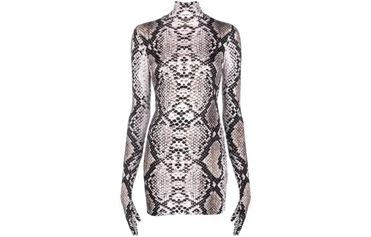 Vetements Long Sleeved Dresses Women's Multicolor Turtleneck