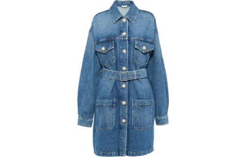 MIU MIU FW21 Long Sleeved Dress Women's Blue