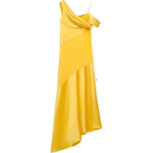 Loewe Asymmetric Sleeveless Dress