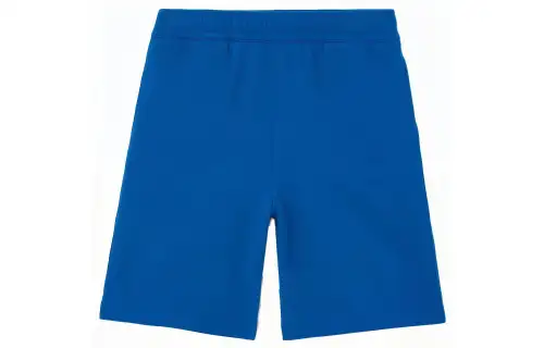 Burberry Casual Shorts Men's Midnight Marine Blue