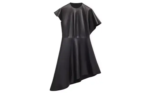 LOEWE FW22 Short Sleeved Dress Women's Black