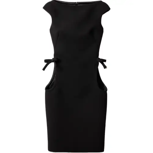 Miu Miu Natte Dress