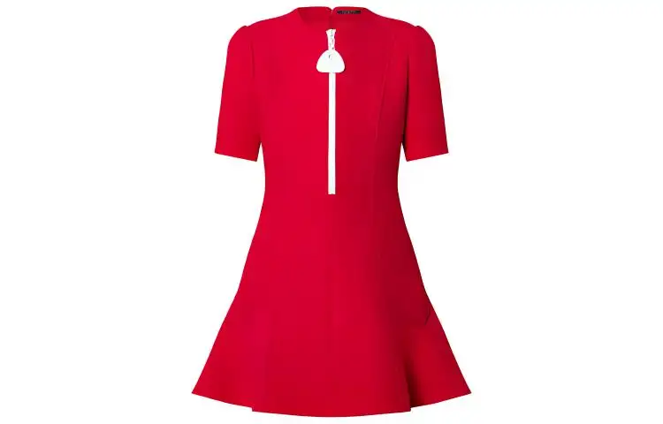LOUIS VUITTON Oversized Zipper Skater Dress