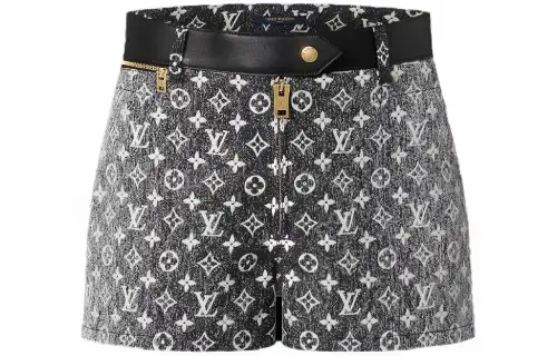 LOUIS VUITTON SS23 Casual Shorts Women's Gray